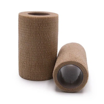 باند یخ منسجم